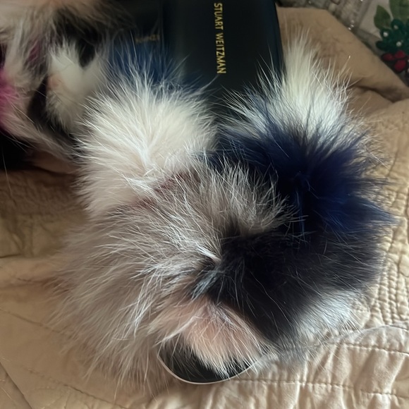 Stuart Weitzman Sublime REAL Multi-Color Fox Fur Sandals Slides Flats Slippers - Picture 10 of 16